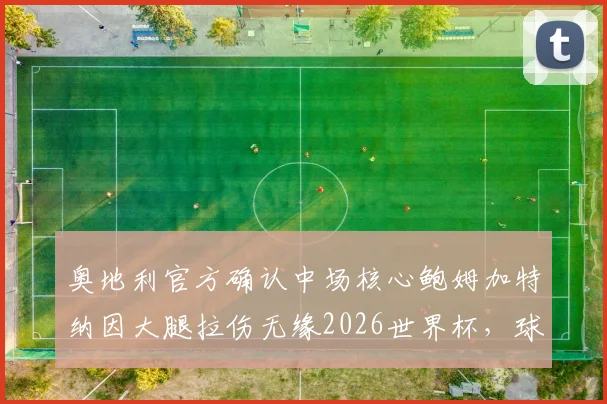 奥地利官方确认中场核心鲍姆加特纳因大腿拉伤无缘2026世界杯,球队备选计划与伤情深度解析