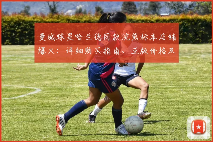 曼城球星哈兰德同款浣熊标本店铺爆火:详细购买指南、正版价格及2026年超2000份订单背后的球迷收藏热